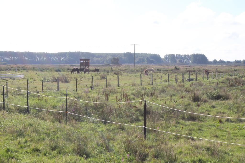 Strandhaus Glowe Værelse billede